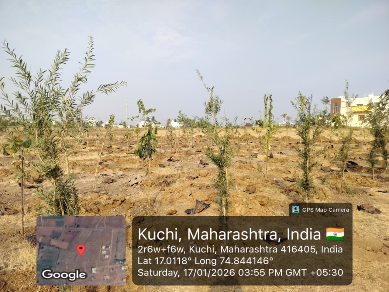 Urban Landscaping & Green Development